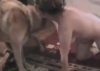 Big dog hardly pounds a slutty zoophile