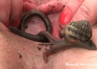 Dirty girls and snails all around her cunt